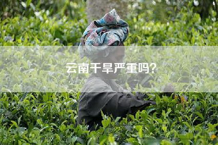 云南干旱严重吗？