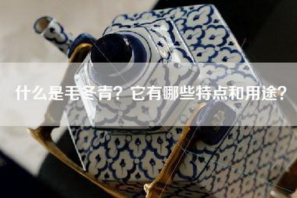 什么是毛冬青？它有哪些特点和用途？