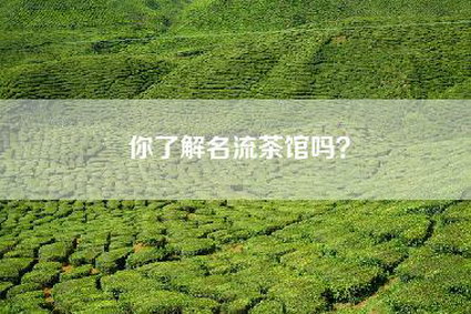 你了解名流茶馆吗？