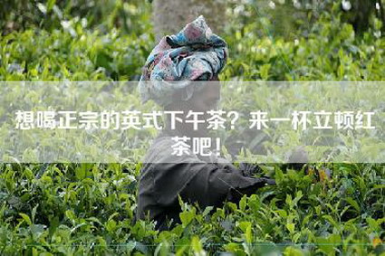 想喝正宗的英式下午茶？来一杯立顿红茶吧！
