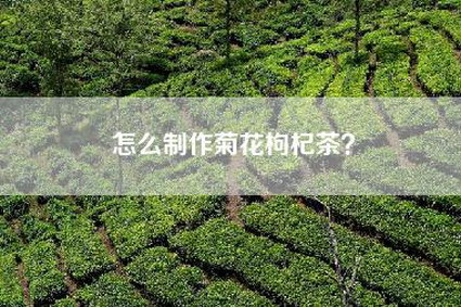 怎么制作菊花枸杞茶？