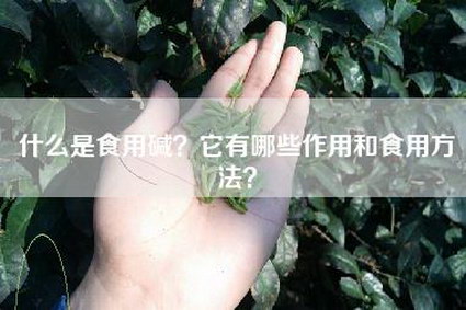 什么是食用碱？它有哪些作用和食用方法？