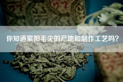 你知道紫阳毛尖的产地和制作工艺吗？