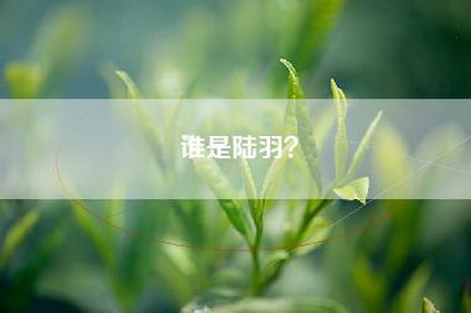 谁是陆羽？