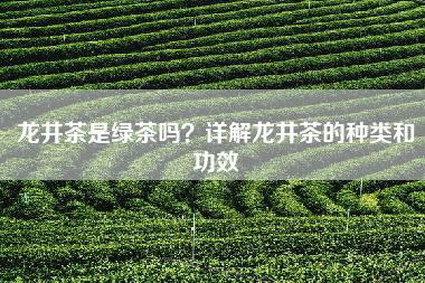 龙井茶是绿茶吗？详解龙井茶的种类和功效