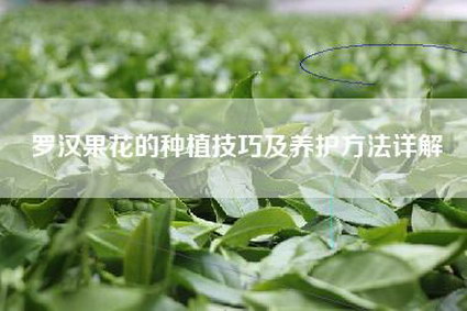 罗汉果花的种植技巧及养护方法详解