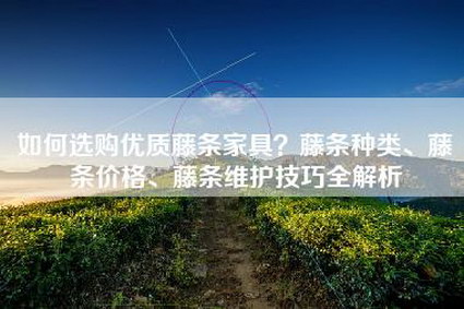 如何选购优质藤条家具？藤条种类、藤条价格、藤条维护技巧全解析