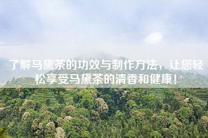 了解马黛茶的功效与制作方法，让您轻松享受马黛茶的清香和健康！