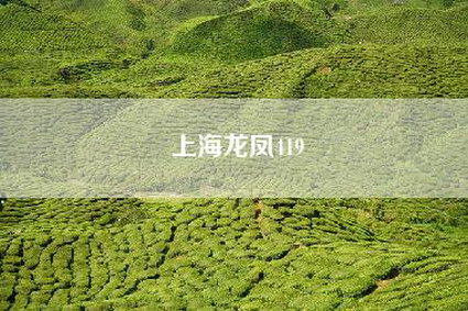 上海龙凤419