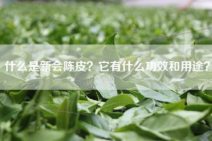 什么是新会陈皮？它有什么功效和用途？
