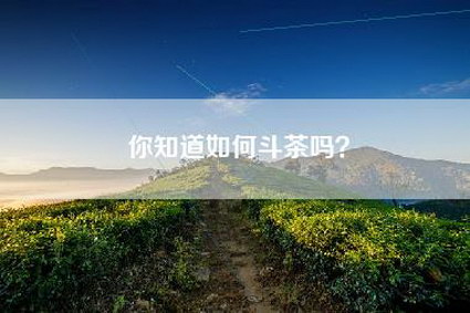 你知道如何斗茶吗？