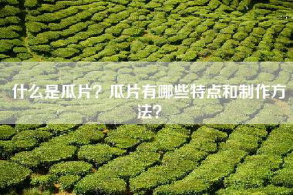 什么是瓜片？瓜片有哪些特点和制作方法？
