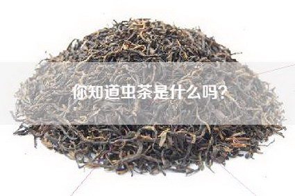 你知道虫茶是什么吗？
