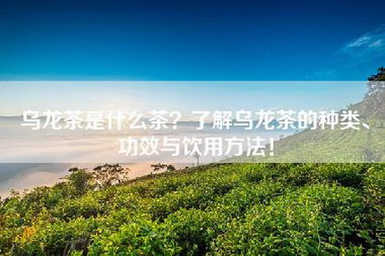 乌龙茶是什么茶？了解乌龙茶的种类、功效与饮用方法！