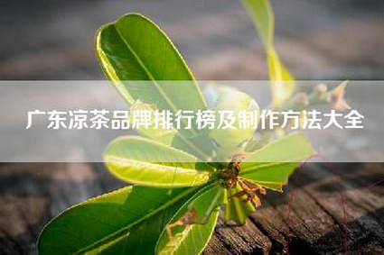 广东凉茶品牌排行榜及制作方法大全