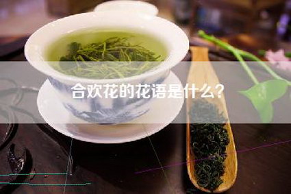 合欢花的花语是什么？