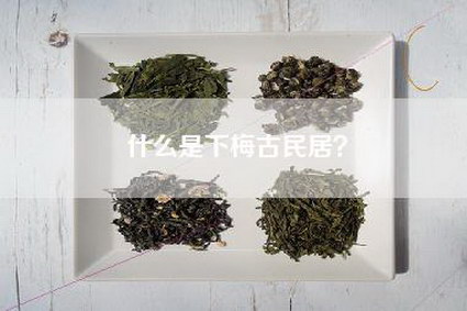 什么是下梅古民居？