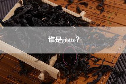 谁是giotto？
