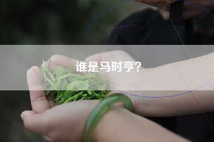 谁是马时亨？