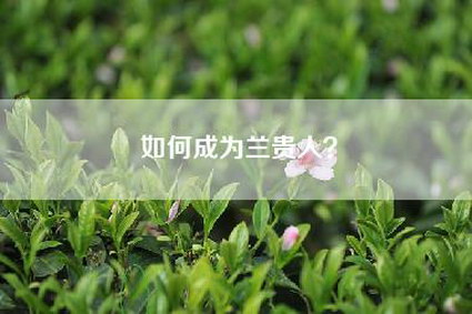 如何成为兰贵人？