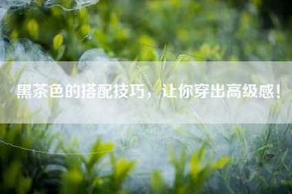 黑茶色的搭配技巧，让你穿出高级感！