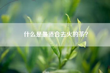 什么是最适合去火的茶？