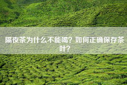 隔夜茶为什么不能喝？如何正确保存茶叶？