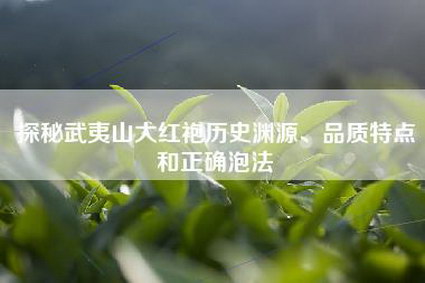 探秘武夷山大红袍历史渊源、品质特点和正确泡法