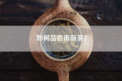 如何品尝雨前茶？