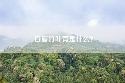 白唇竹叶青是什么？