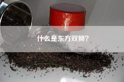 什么是东方双狮？