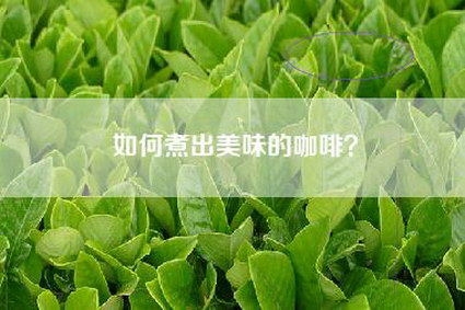 如何煮出美味的咖啡？