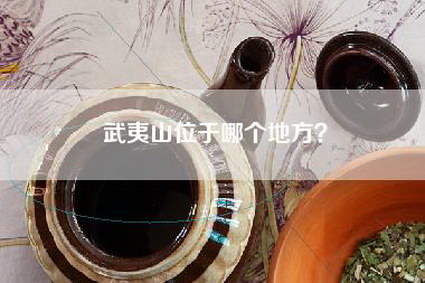 武夷山位于哪个地方？