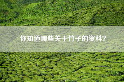 你知道哪些关于竹子的资料？