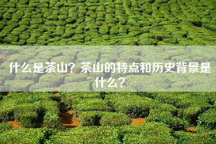 什么是茶山？茶山的特点和历史背景是什么？