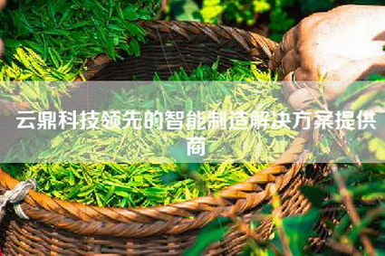 云鼎科技领先的智能制造解决方案提供商