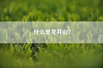 什么是龙井山？