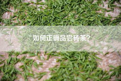 如何正确品尝砖茶？