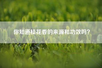 你知道桂花香的来源和功效吗？