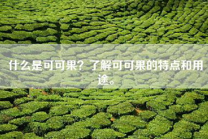 什么是可可果？了解可可果的特点和用途。