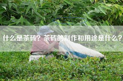 什么是茶砖？茶砖的制作和用途是什么？