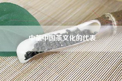 中茶中国茶文化的代表