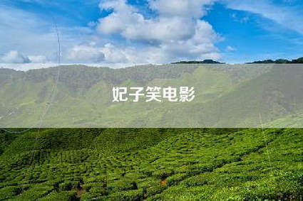 妃子笑电影