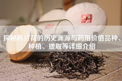 探秘鸦片花的历史渊源与药用价值品种、种植、提取等详细介绍
