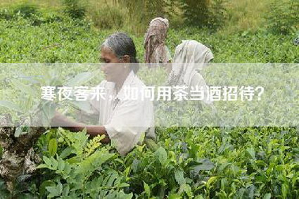 寒夜客来，如何用茶当酒招待？