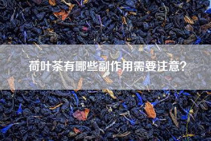 荷叶茶有哪些副作用需要注意？