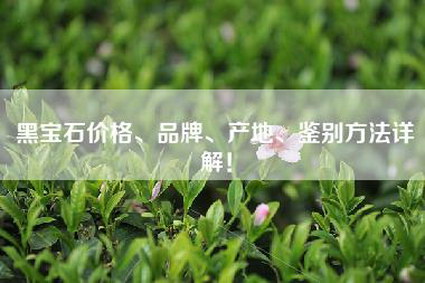 黑宝石价格、品牌、产地、鉴别方法详解！