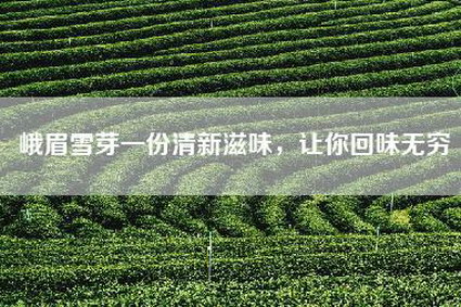 峨眉雪芽一份清新滋味，让你回味无穷