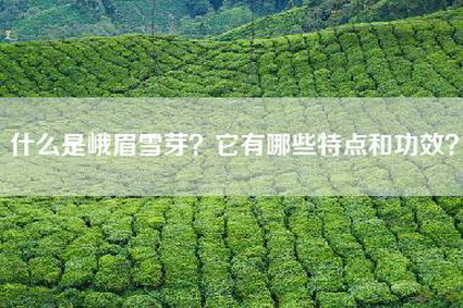 什么是峨眉雪芽？它有哪些特点和功效？