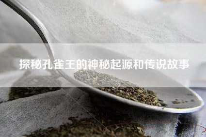 探秘孔雀王的神秘起源和传说故事